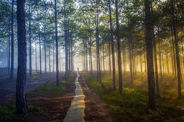 Adventurous outdoor scene with people exploring a scenic trail